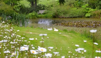 Burrow-Farm-Gardens-Devon-Visit-Coach-3-350x200