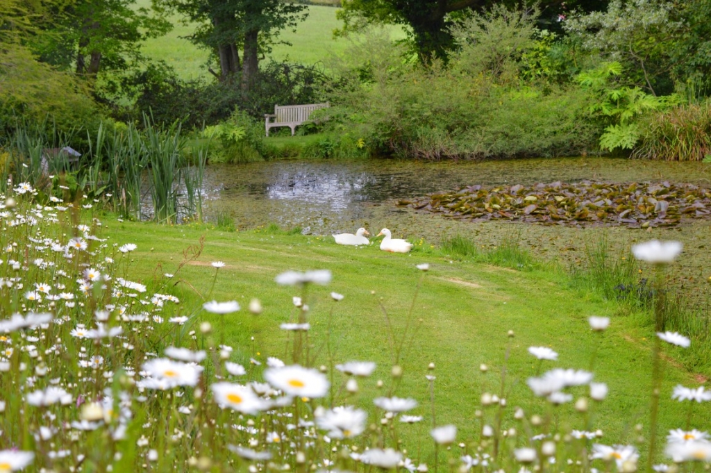 Burrow-Farm-Gardens-10-Pond-or-wildlife-Medium-1024x681