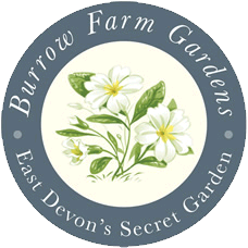 Burrow Farm Gardens Logo