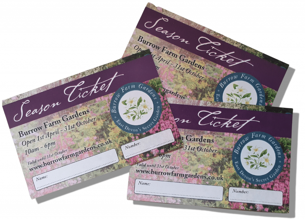 Season Tickets Burrow Farm Gardens