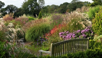 Burrow-Farm-Gardens-Devon-Visit-Coach-7-350x200