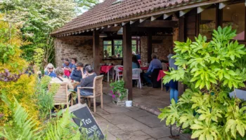Burrow-farm-gardens-tea-room-cafe The Picturesque Tea Room at Burrow Farm Gardens