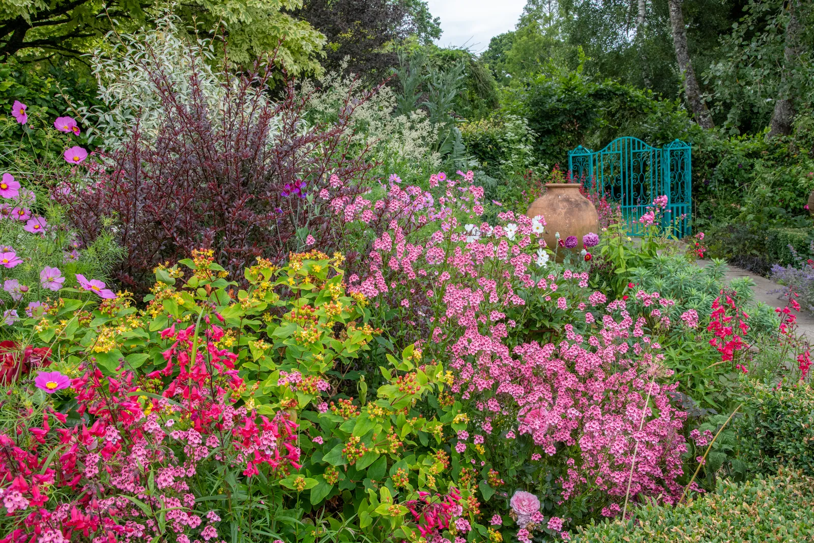 Colourful Planting at Burrow Farm Gardens